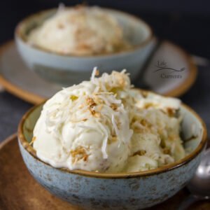 Coconut Custard Ice Cream for the coconut lover in your life