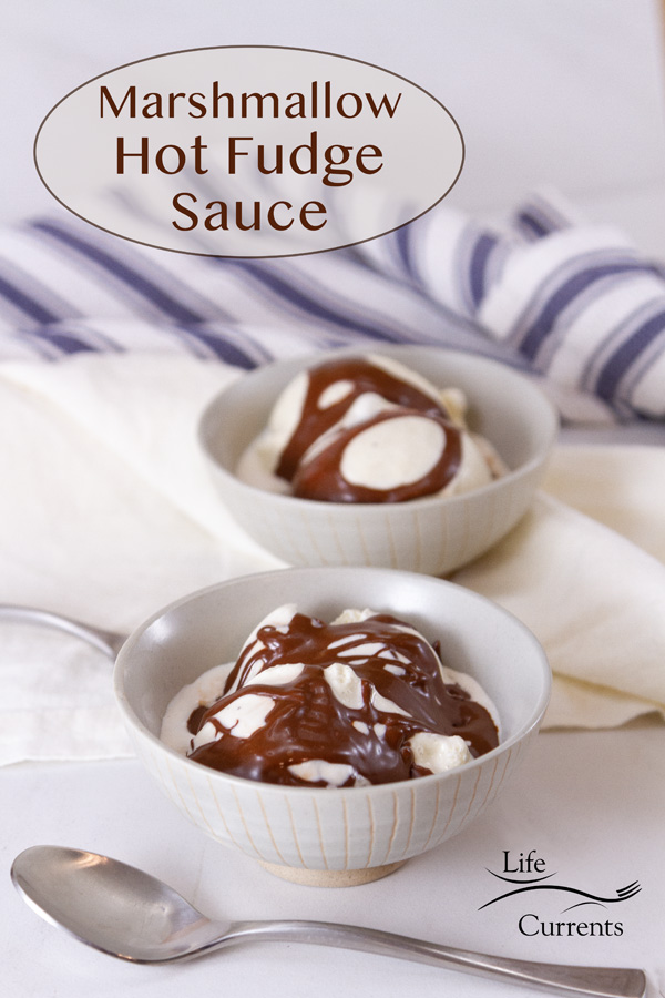 two bowls of ice cream with chocolate sauce