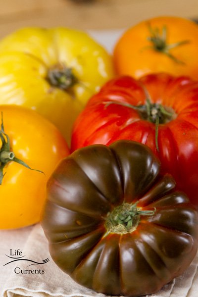 Ombre Heirloom Tomato Ricotta Tart 