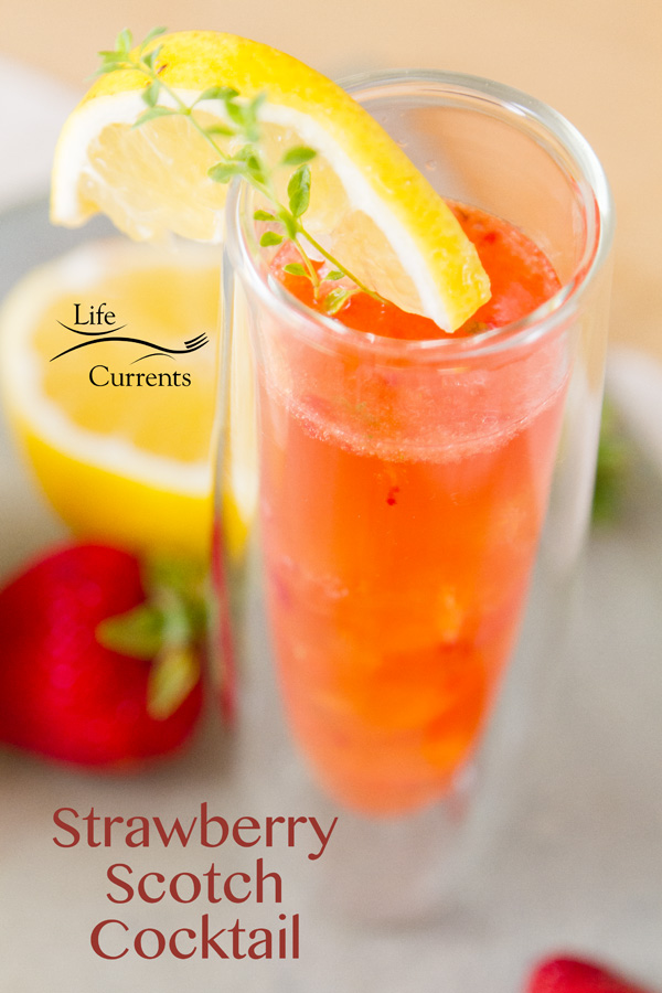 Strawberry Scotch Cocktail Light fruity strawberries mingle with peaty Scotch and tart lemon juice in a beverage that will just leave you happy. Strawberry Scotch Cocktail Light fruity strawberries mingle with peaty Scotch and tart lemon juice in a beverage that will just leave you happy.