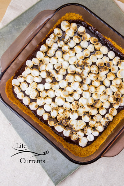 Chocolate S&rsquo;mores Bars topped off with toasted marshmallows