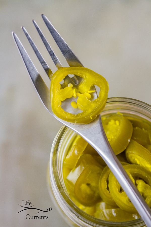 Easy Refrigerator Candied Jalapenos the perfect condiment for everything