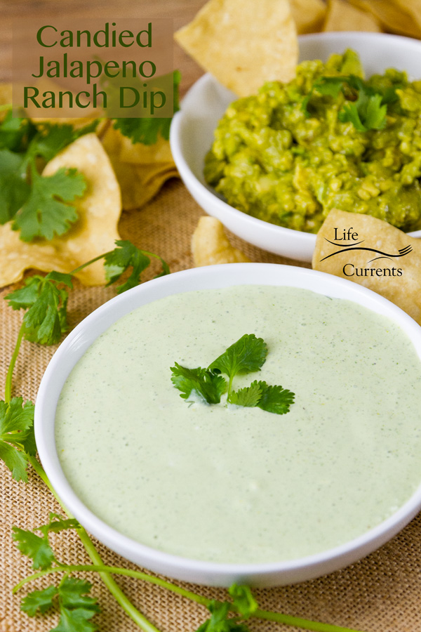 Candied Jalapeno Ranch Dip is super easy to throw together. Just 5 ingredients, and you have a sweet and spicy, creamy and delicious dip for chips or veggies.