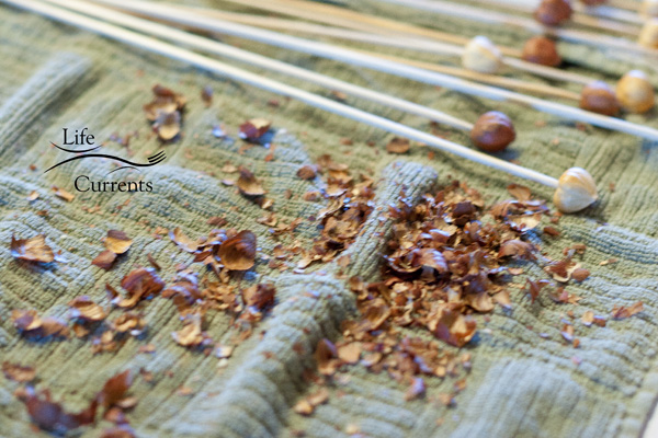Candied Hazelnuts cleaned and skewered