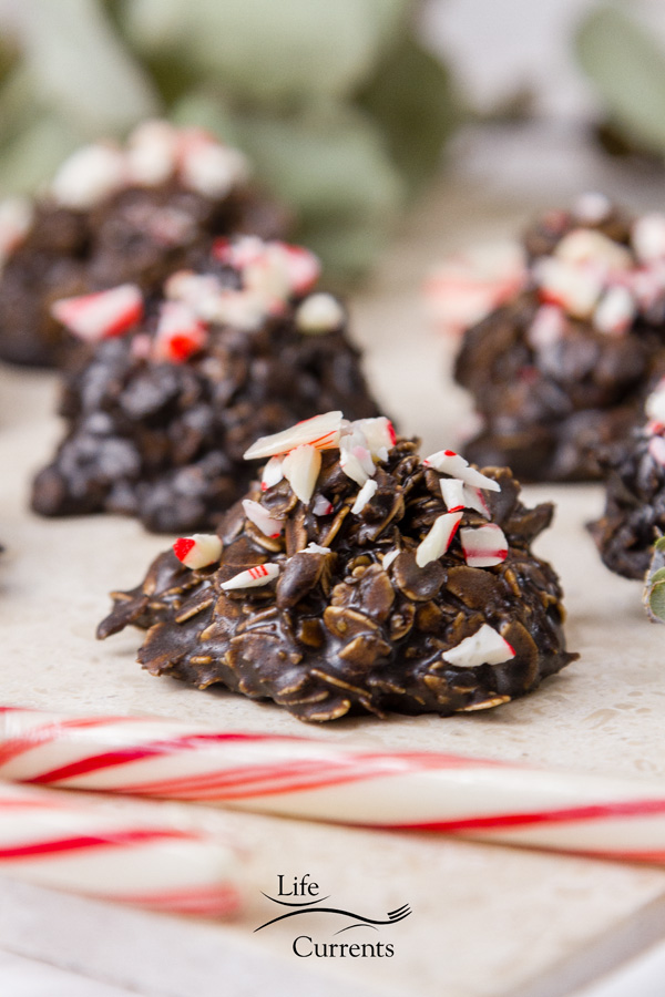 No, these are special! These No Bake Peppermint Mocha Candy Cookies are candy - like a chocolate praline than like a boring ol&rsquo; cookie. 