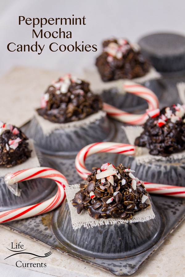 Peppermint Mocha Candy Cookies! Minty, chocolaty, fresh, filled with yummy oatmeal, all in a praline-like candy!