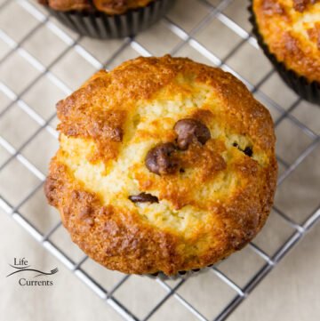 Mint Chocolate Chip Greek Yogurt Muffins Easy and delicious, these healthy minty yogurt muffins are packed with flavor.