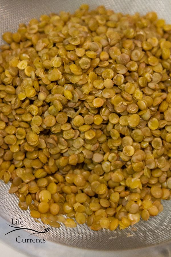 cooked lentils in a strainer.