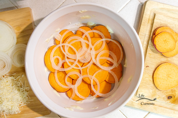 Sweet Potato Layer Bake - the first layer of sweet potatoes and onions is down Sweet Potato side dish - the first layer of sweet potatoes and onions is down