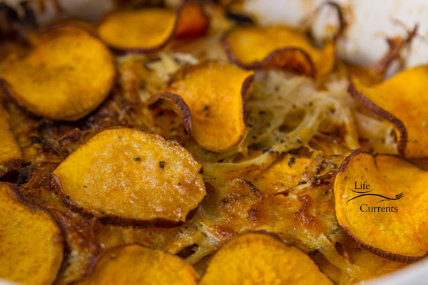 With layers of thin sweet potatoes and a quick light cheese sauce that’s made as the casserole bakes, this great Sweet Potato Layer Bake side dish is pretty enough for guests, and easy enough for any day of the week! With layers of thin sweet potatoes and a quick light cheese sauce that’s made as the casserole bakes, this great Sweet Potato side dish is pretty enough for guests, and easy enough for any day of the week!