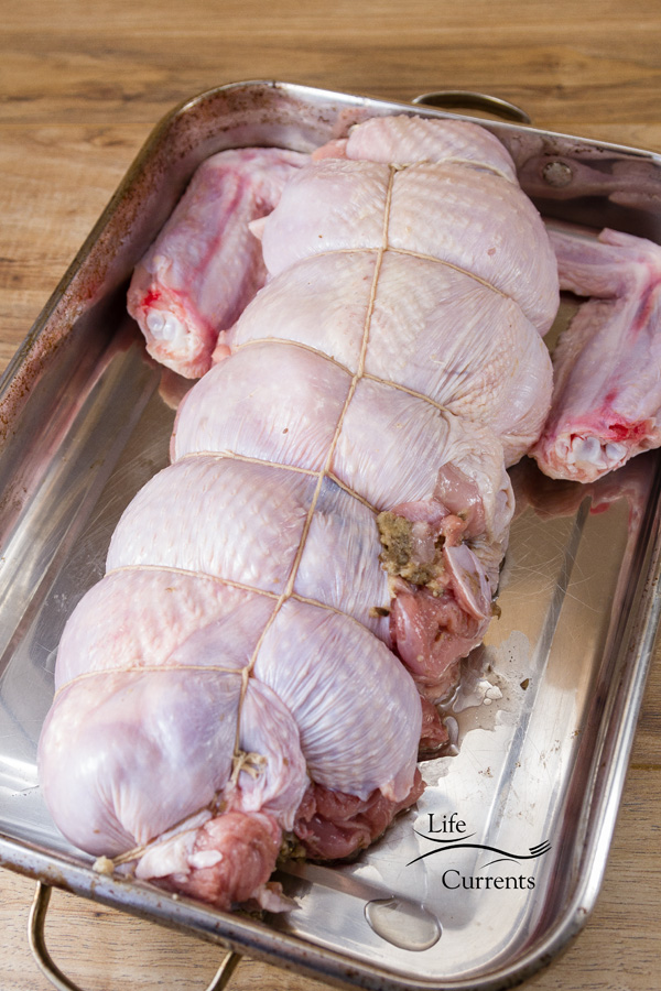 Rolled Stuffed Turkey - the raw turkey, deboned, stuffed, rolled, and ready to roast Rolled Stuffed Turkey - the raw turkey, deboned, stuffed, rolled, and ready to roast