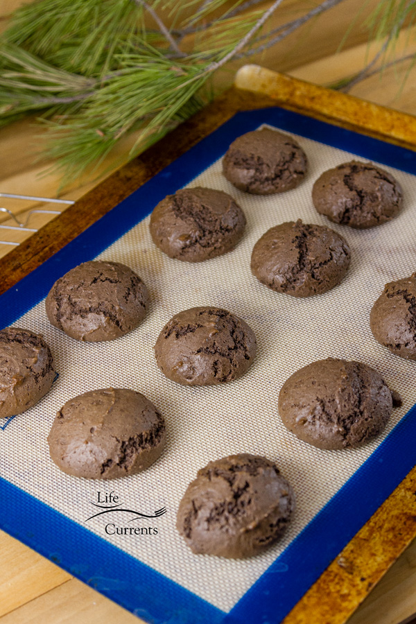 Chocolate cookies cooling on the cooling rack.