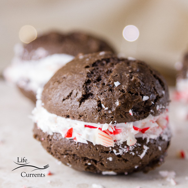Make these Peppermint Brownie Sandwich Cookies for the holiday potluck or the neighborhood Christmas party.