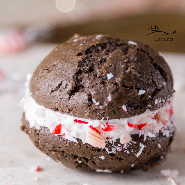 Peppermint Brownie Cookie close up