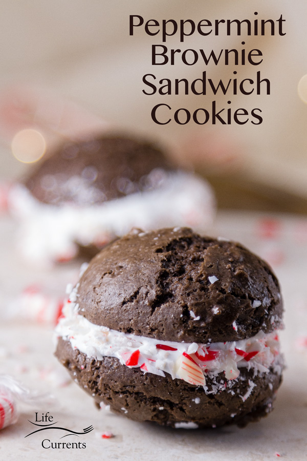 Peppermint Brownie Sandwich Cookies Soft delicious chocolate brownie cookies with delicious sweet marshmallow cr&egrave;me inside, all wrapped in crushed candy canes 