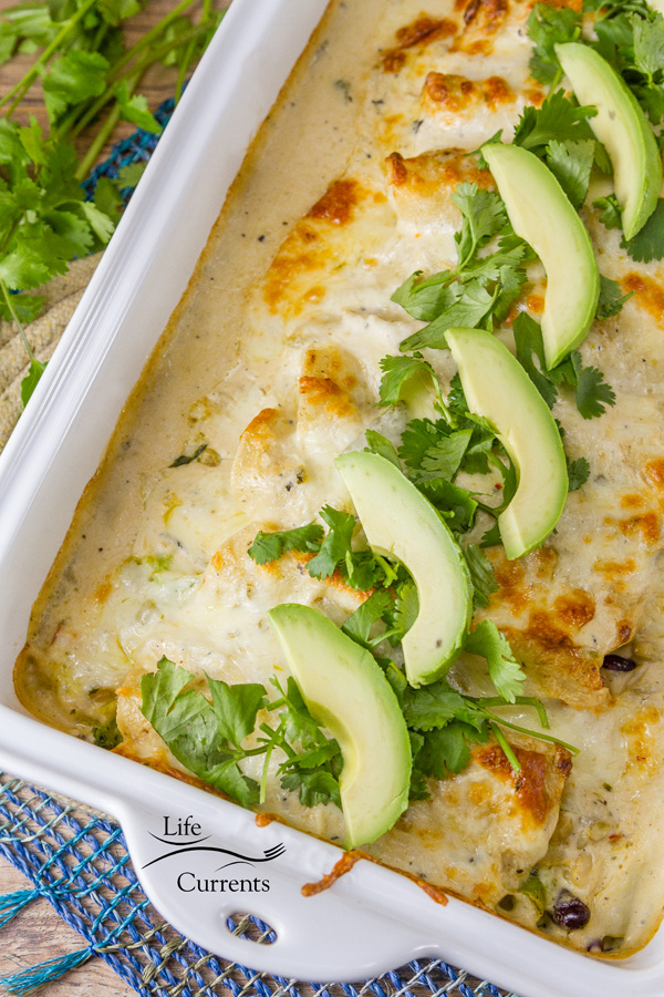 I have a delicious and quick 30-minute meal recipe for Creamy Verde Fiesta Enchiladas for you today. 