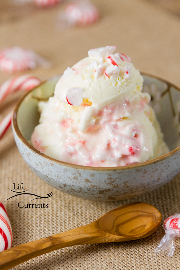 If you’re like me, and love peppermint, This Peppermint Crunch Ice Cream is a winter treat you won’t want to miss! If you’re like me, and love peppermint, This Peppermint Crunch Ice Cream is a winter treat you won’t want to miss!