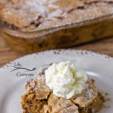 This delicious and easy to make Old-Fashioned Apple Walnut Cake is the kind that Grandma would take to the church social.