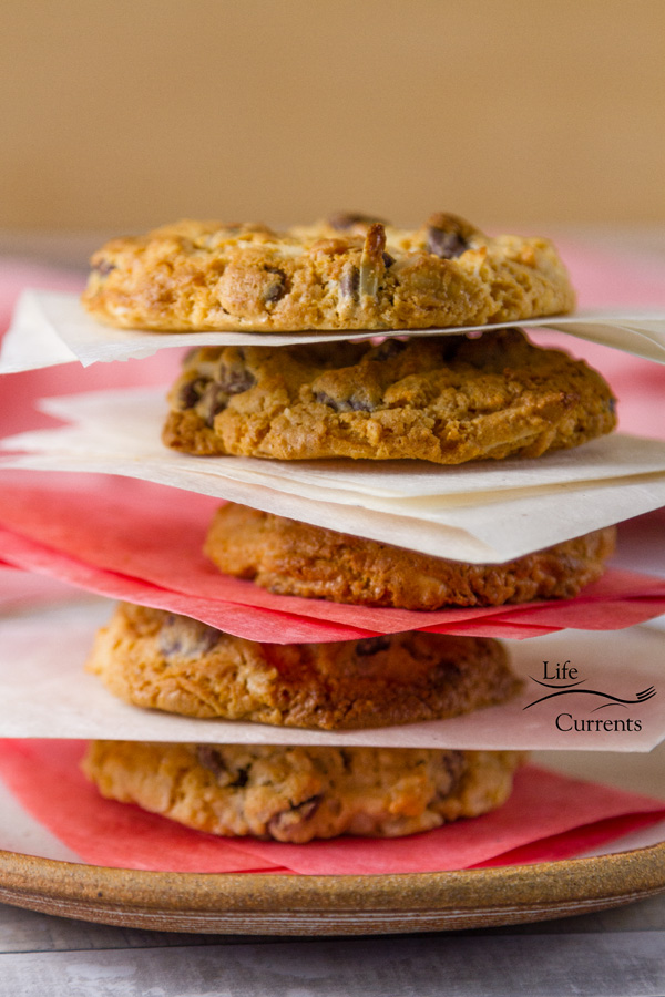 Chocolate Chip Treasure Cookies are perfect for birthday parties and baby showers as well as the annual holiday cookie exchange. Chocolate Chip Treasure Cookies are perfect for birthday parties and baby showers as well as the annual holiday cookie exchange.