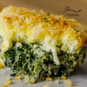 close up of side dish with spinach on the bottom and a creamy layer topped with bread crumbs on top.