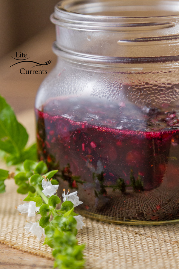 Salmon with Blueberry Sauce Recipe - the blueberry conserve is easy and full of flavor, with basil, onions, balsamic, and blueberries! Salmon with Blueberry Sauce Recipe - the blueberry conserve is easy and full of flavor, with basil, onions, balsamic, and blueberries!