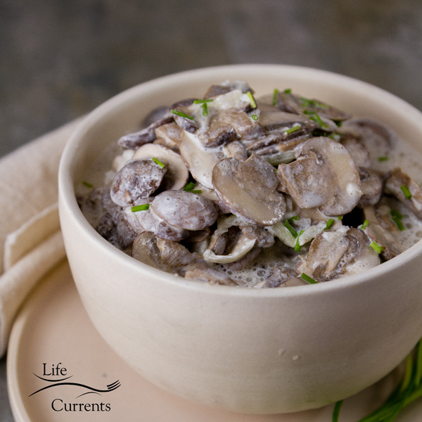 Garlic Mushrooms in Sour Cream - Try adding these mushrooms to a baked potato. Or, cook up some pierogi and add these sour cream mushrooms. 