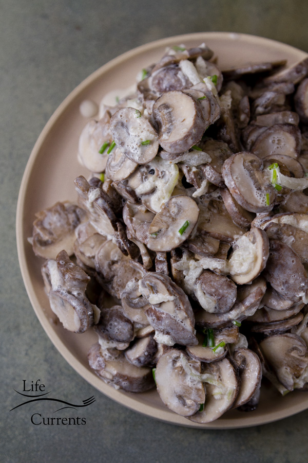 Garlic Mushrooms in Sour Cream - Try adding these mushrooms to a baked potato. Or, cook up some pierogi and add these sour cream mushrooms. Serve mushrooms on toast, or over pasta. Serve them over rice. Top some protein like a steak, chicken, or seared tofu with these creamy mushrooms. 