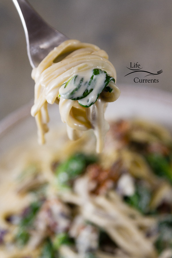 This Blue Cheese Spinach Walnut Sauce is also delicious over a protein like a grilled steak, roasted chicken, or seared tofu.