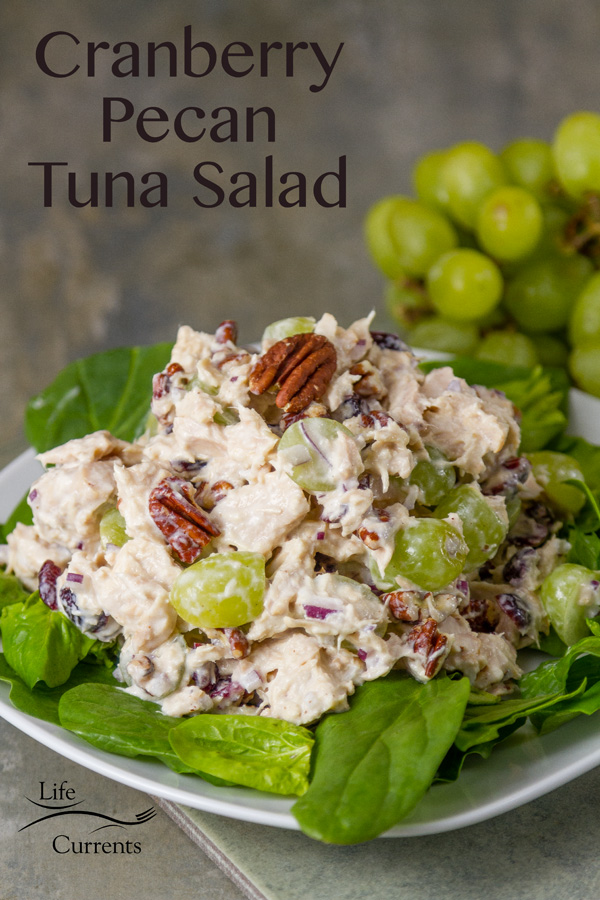 Cranberry Pecan Tuna Salad - Delicious Island Trollers albacore tuna, tart and sweet dried cranberries, crunchy toasted pecans, fresh fruity grapes. This salad comes together quickly and is so delicious! 