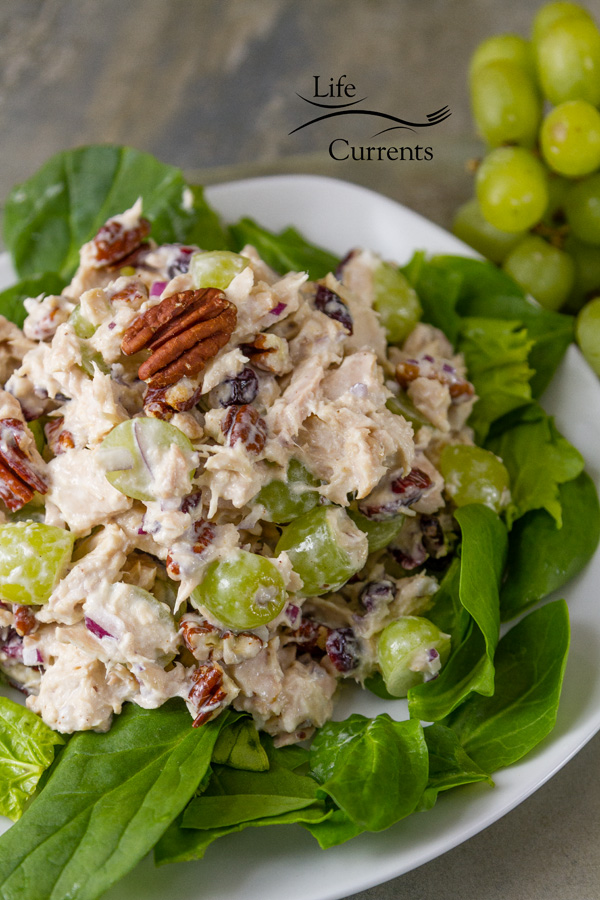 Cranberry Pecan Tuna Salad Recipe - easy to make and a great balance of flavors
