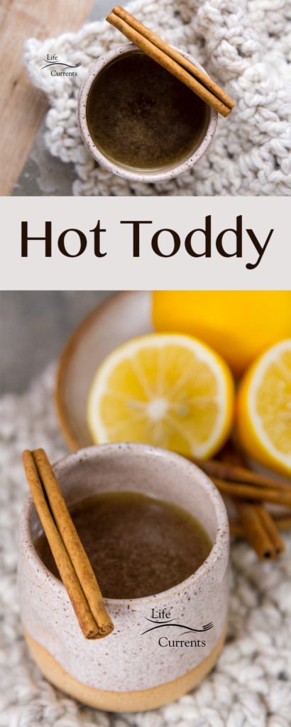 The Classic Hot Toddy Recipe is a drink that&rsquo;ll warm you up, and keep you happy. It may even help ward off colds and sore throats. 