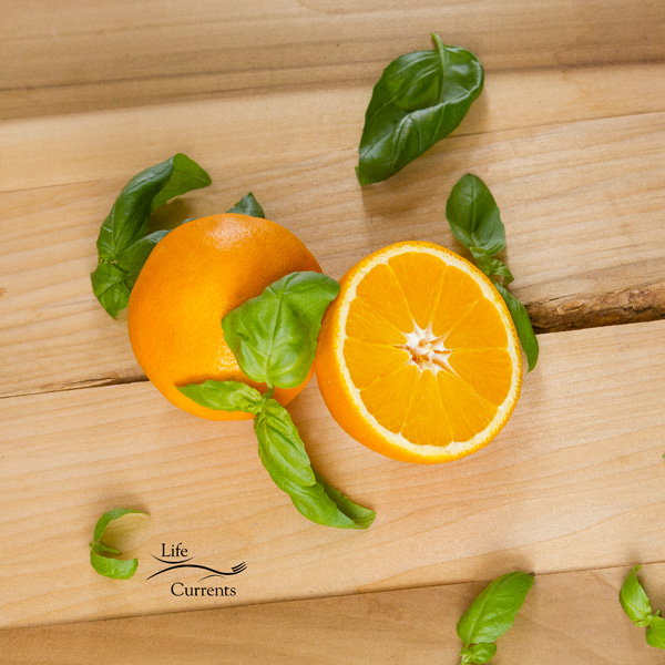 oranges and basil - so fresh - from my Orange Basil Cream Sauce Recipe