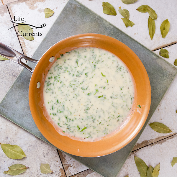 This Creamy Basil Sauce is a nice simple summer sauce. A basic white sauce that&rsquo;s been taken up a notch or two with the addition of a little garlic and basil. 