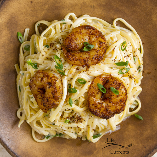 Blackened Shrimp Pasta Cajun shrimp over a creamy cheese sauce