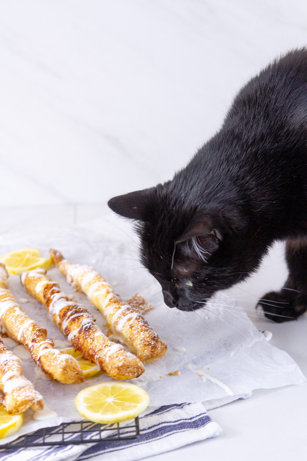 a black cat looking at baked lemon twists with lemon slices on a cooling rack.