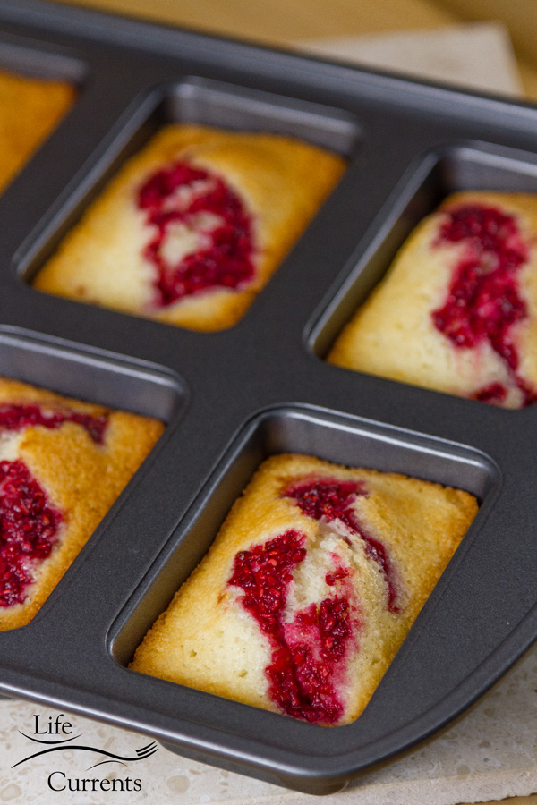 French Almond Financiers Cakes with Roasted Raspberry Swirl in a traditional pan