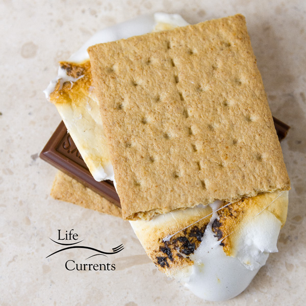 the classic s'more with graham crackers, Hershey's milk chocolate, and toasted marshmallow on a white background