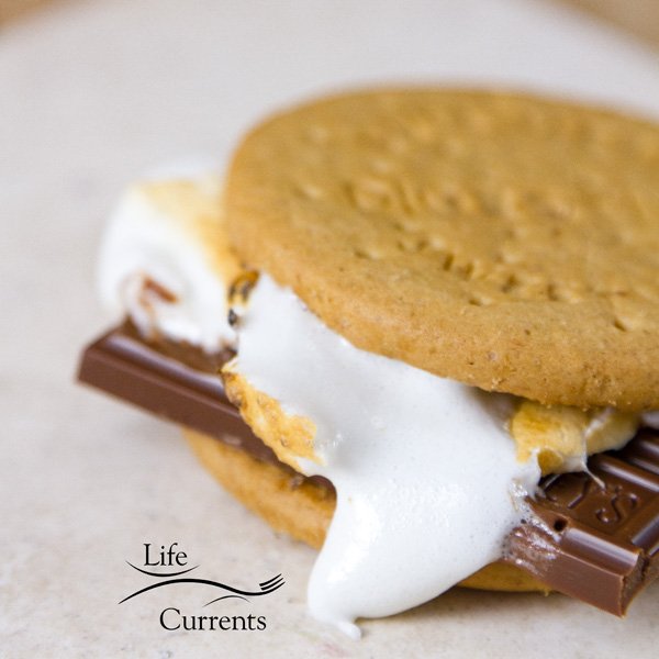 a gourmet s'more with digestive biscuits as the crackers, Hershey's milk chocolate, and two toasted marshmallows 