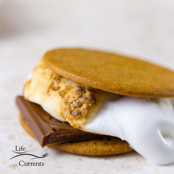 two ginger snap cookies, dark chocolate, and a toasted marshmallow make up this gourmet s'more on a white background 