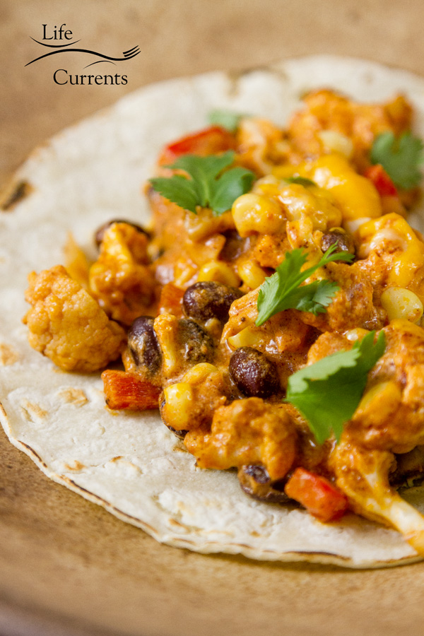 Mexican Veggie Casserole Bake served in a toasted corn tortilla is ready for taco Tuesday ight