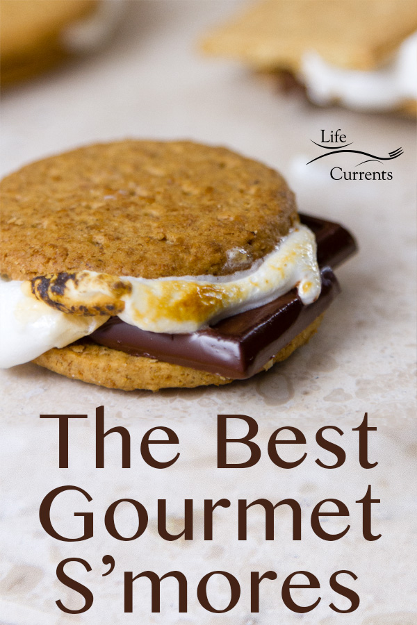 a single Gourmet S'mores with 2 whole wheat crackers, melting dark chocolate, and golden toasted marshmallows with the title for a pinnable image 