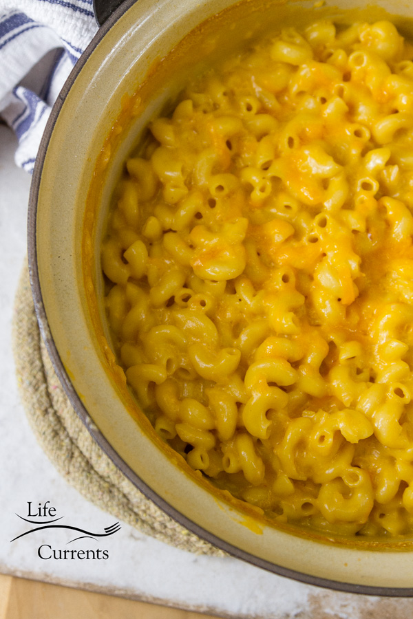 A black pot filled with cheddar mac & cheese on a white background 