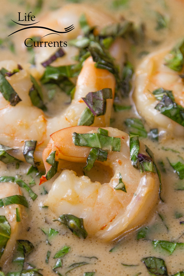 up close of the shrimp in the basil coconut sauce 