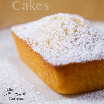 One Financier (French Almond Cake) dusted with powdered sugar on a white plate