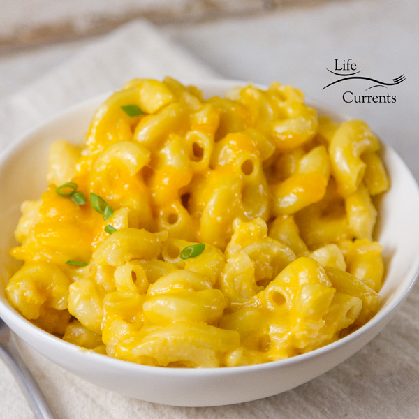 A white dish of cheddar mac & cheese with green onions garnishing on a white background