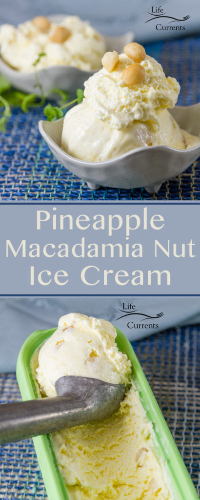 Pineapple Macadamia Nut Ice Cream Recipe long pin for Pinterest 