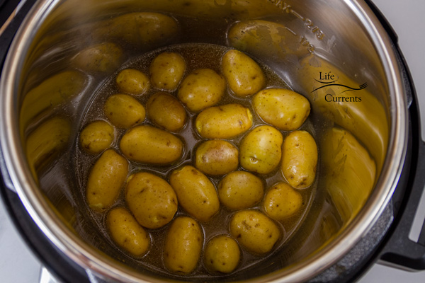 Baby potatoes at the bottom of the Instant Pot insert with broth