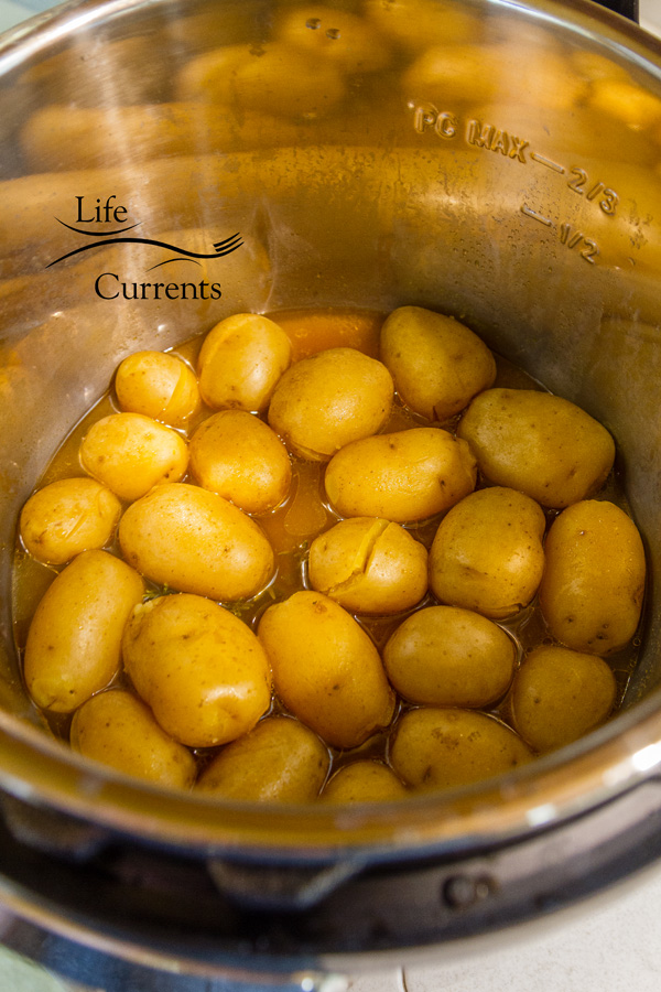 Potatoes at the bottom of the instant pot after being cooked, some have cracked open.