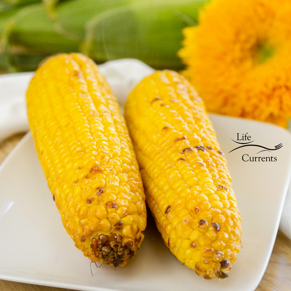 two ears of corn, roasted on a white plate with a sunflower and some corn still in the husk in the background