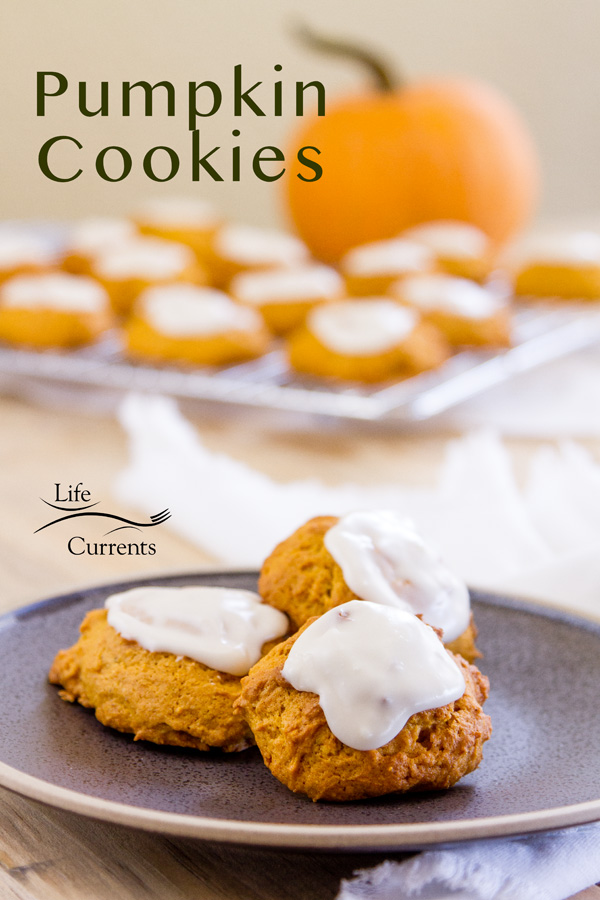 Pumpkin cookies on a black plate in front of a cooling rack of cookies with a pumpkin in the background 